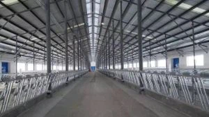 गाय मुक्त स्टाल क्यूबिकल्स